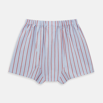 Pale Blue And Red Pinstripe Godfrey Boxer Shorts Image 1