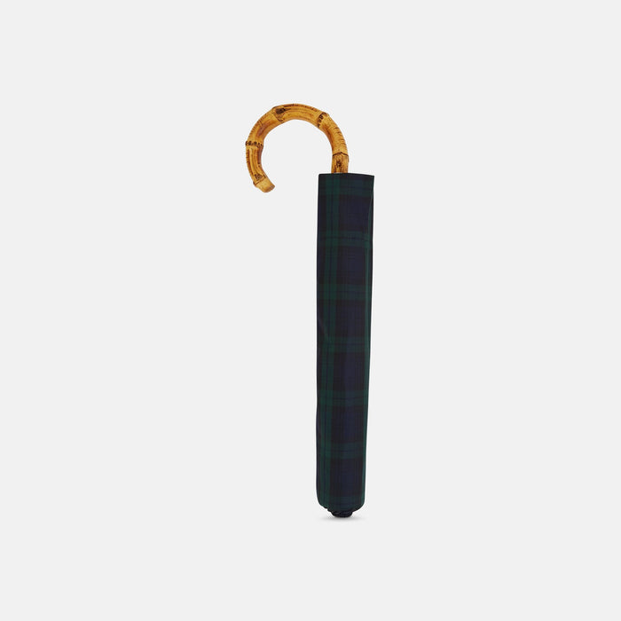 Black Watch Tartan Telescopic Umbrella with Whangee Crook Handle Image 1
