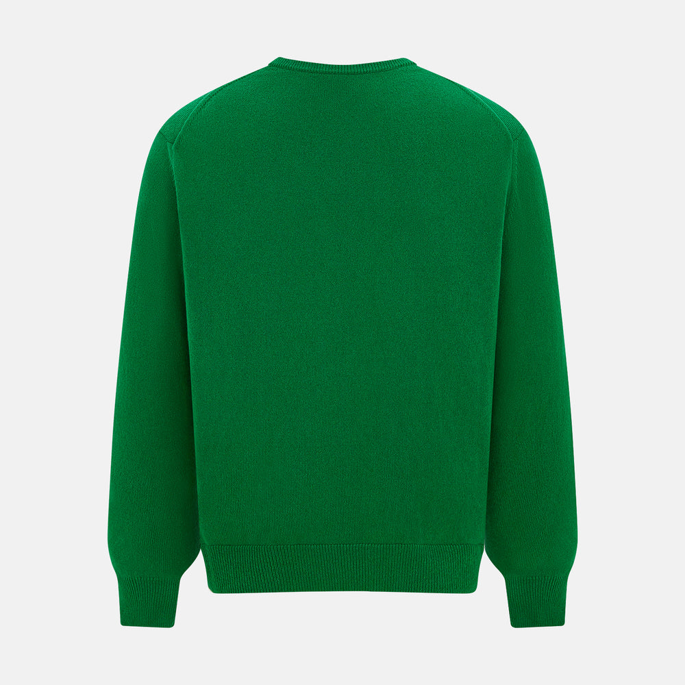 The Turnbull & Asser Grass Green Cashmere Round Neck Jumper features long sleeves, ribbed cuffs, collar, and hem, shown on a white background.