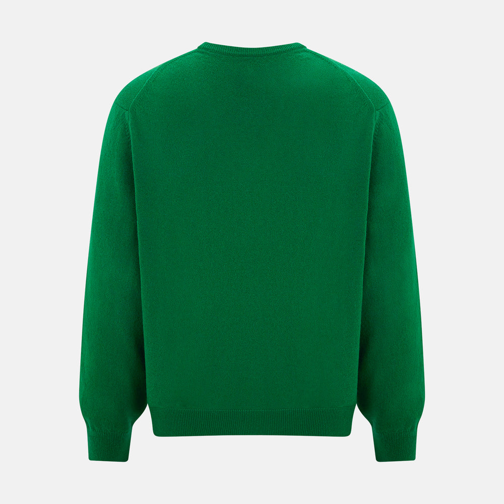 The Turnbull & Asser Grass Green Cashmere V-neck Jumper, with long sleeves, is displayed against a white background, highlighting its classic knitwear style.