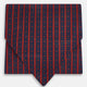 TIES ASCOTS STR AND DOT PRINTED SILK RED OS