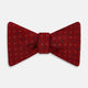 TIES BOWS CIRCLES DOTS PRNTD SILK RED OS