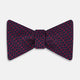 TIES BOWS CIRCLES AND STRIPE PRINTED SILK BURGUNDY OS