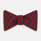 TIES BOWS FLORAL MEDALLION PRINTED SILK RED OS