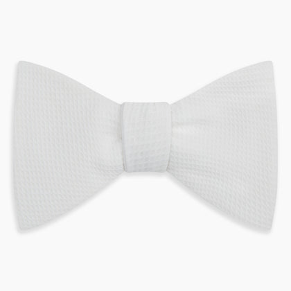 White Marcella Bow Tie Image 3