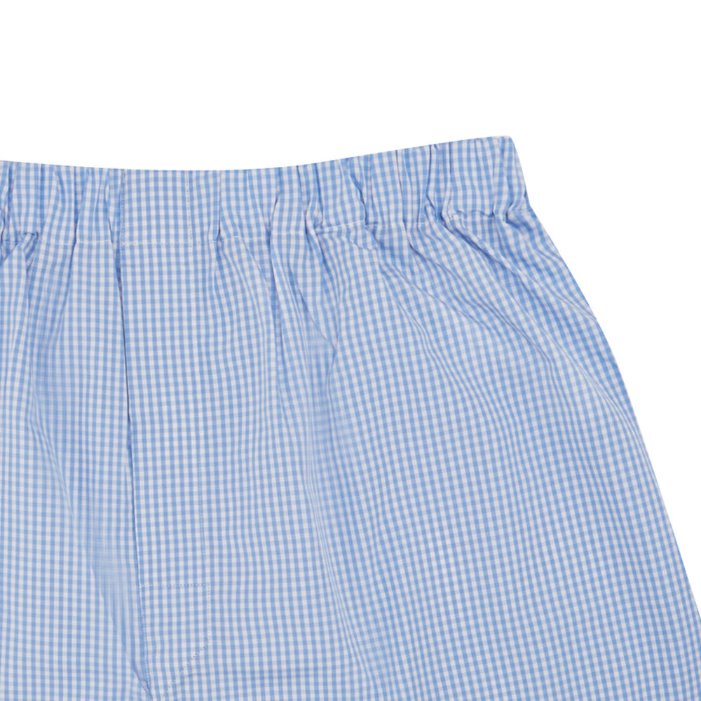 Turnbull & Asser Light Blue Gingham Cotton Boxer Shorts for men feature an elastic waistband and are displayed on a plain white background. Perfect everyday underwear for comfort.