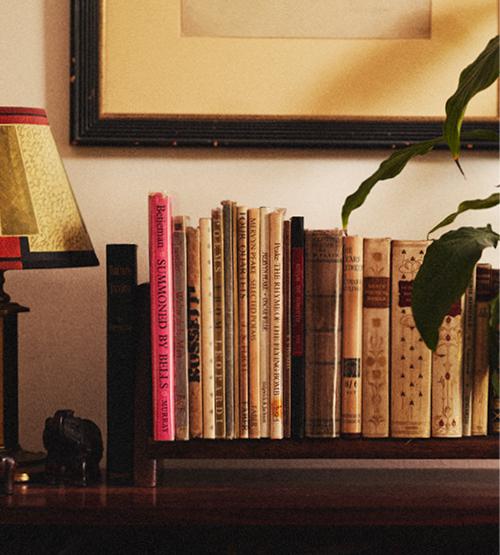 A close-up of a bookshelf with vintage books lined up, a table lamp with a patterned shade on the left, a leafy plant on the right, and a framed picture hanging on the wall above the shelf.