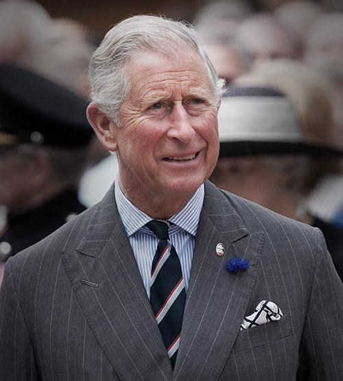 A distinguished older man with gray hair wearing a pinstripe suit, striped tie, and a blue flower on his lapel, standing among a crowd of people dressed formally.